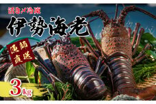 【先行予約】2025年8月～発送 活き〆 冷凍 伊勢海老 3kg 天然 国産 伊勢エビ 海老 エビ 刺身 伊勢 味噌汁 鍋 ボイル エビフライ アレンジ 産地直送 新鮮 海鮮 魚介類 おせち BBQ キャンプ アウトドア ギフト 贈答 プレゼント 送料無料 千葉県 銚子市 健丸
