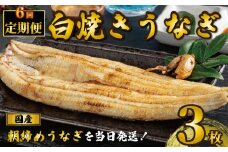 国産うなぎ 白焼き ３枚 1尾約120g 定期便6回 うなぎ 鰻 白焼き 蒲焼 うな重 鰻丼 うな丼 ひつまぶし 土用の丑の日 土用丑 魚 海鮮 魚介類 肉 肝 レバー 冷蔵 おつまみ おかず 惣菜 酒 ビール 焼酎 日本酒 ウイスキー チューハイ お取り寄せ ギフト プレゼント 贈答 贈答用 贈り物 内祝い お中元 お歳暮 母の日 父の日 敬老の日 千葉県 銚子市 有限会社石毛川魚店