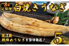 国産うなぎ 白焼き 5枚 1尾約120g 定期便3回 うなぎ 鰻 白焼き 蒲焼 うな重 鰻丼 うな丼 ひつまぶし 土用の丑の日 土用丑 魚 海鮮 魚介類 肉 肝 レバー 冷蔵 おつまみ おかず 惣菜 酒 ビール 焼酎 日本酒 ウイスキー チューハイ お取り寄せ ギフト プレゼント 贈答 贈答用 贈り物 内祝い お中元 お歳暮 母の日 父の日 敬老の日 千葉県 銚子市 有限会社石毛川魚店