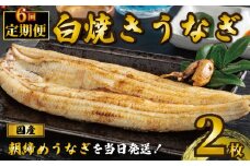 国産うなぎ 白焼き 2枚 1尾約120g 定期便6回 うなぎ 鰻 白焼き 蒲焼 うな重 鰻丼 うな丼 ひつまぶし 土用の丑の日 土用丑 魚 海鮮 魚介類 肉 肝 レバー 冷蔵 おつまみ おかず 惣菜 酒 ビール 焼酎 日本酒 ウイスキー チューハイ お取り寄せ ギフト プレゼント 贈答 贈答用 贈り物 内祝い お中元 お歳暮 母の日 父の日 敬老の日 千葉県 銚子市 有限会社石毛川魚店