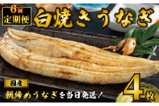 国産うなぎ 白焼き 4枚 1尾約120g 定期便6回 うなぎ 鰻 白焼き 蒲焼 うな重 鰻丼 うな丼 ひつまぶし 土用の丑の日 土用丑 魚 海鮮 魚介類 肉 肝 レバー 冷蔵 おつまみ おかず 惣菜 酒 ビール 焼酎 日本酒 ウイスキー チューハイ お取り寄せ ギフト プレゼント 贈答 贈答用 贈り物 内祝い お中元 お歳暮 母の日 父の日 敬老の日 千葉県 銚子市 有限会社石毛川魚店