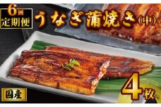 国産うなぎ蒲焼き タレ・山椒付き 4枚 1枚約100g 定期便6回  うなぎ 鰻 蒲焼 うな重 鰻丼 うな丼 ひつまぶし 土用の丑の日 土用丑 魚 海鮮 魚介類 肉 冷凍 真空パック 個包装 小分け おつまみ おかず 惣菜 ビール 酒 焼酎 日本酒 ウイスキー  お取り寄せ ギフト プレゼント 贈答 贈答用 贈り物  お中元 お歳暮 母の日 父の日 敬老の日 千葉県 銚子市 有限会社石毛川魚店
