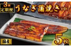 国産うなぎ蒲焼き タレ・山椒付き 5枚1枚約100g 定期便3回  うなぎ 鰻 蒲焼 うな重 鰻丼 うな丼 ひつまぶし 土用の丑の日 土用丑 魚 海鮮 魚介類 肉 冷凍 真空パック 個包装 小分け おつまみ おかず 惣菜 ビール 酒 焼酎 日本酒 ウイスキー  お取り寄せ ギフト プレゼント 贈答 贈答用 贈り物  お中元 お歳暮 母の日 父の日 敬老の日 千葉県 銚子市 有限会社石毛川魚店
