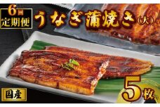 国産うなぎ蒲焼き タレ・山椒付き 5枚 1枚約110g 定期便6回  うなぎ 鰻 蒲焼 うな重 鰻丼 うな丼 ひつまぶし 土用の丑の日 土用丑 魚 海鮮 魚介類 肉 冷凍 真空パック 個包装 小分け おつまみ おかず 惣菜 ビール 酒 焼酎 日本酒 ウイスキー  お取り寄せ ギフト プレゼント 贈答 贈答用 贈り物  お中元 お歳暮 母の日 父の日 敬老の日 千葉県 銚子市 有限会社石毛川魚店
