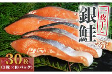 銀鮭 一夜干し 30枚 （10パック×3枚） 干物 ひもの さけ 鮭  魚 海鮮 おかず 酒 のあて おつまみ 弁当 塩 魚介 惣菜  食品 冷凍食品 グルメ 贈答 贈り物 プレゼント ギフト お取り寄せ ふるさと納税 送料無料 千葉県 銚子市 株式会社甲印小西商店