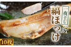 縞ほっけ 一夜干し 10枚 干物 ひもの ほっけ一夜干し ほっけ 縞ほっけ 縞ほっけ干物 老舗干物 干物専門店 高級干物 和食 酒 の肴 グルメ つまみ おつまみ ビール 日本酒 酒 贈り物 魚 魚介 魚貝 新鮮 ふるさと納税 送料無料 ふるさと納税ほっけ 千葉県 銚子市 甲印小西商店