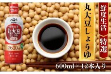 ヤマサ丸大豆しょうゆ 12本(1本600ml) しょうゆ 醤油 しょう油 調味料 家庭用 鮮度生活 おかず 料理 グルメ お刺身 お寿司 冷奴 焼き魚 老舗 リピート 人気 おすすめ 贈答 ギフト 贈物 贈り物 送料無料 ヤマサ ヤマサ醤油 生しょうゆ 生醤油 麹 麹醤油 熟成 国産 千葉県 銚子市 大豆 櫻井謙二商店