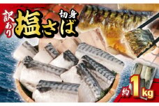 訳あり 塩サバ切身 約1kg  ノルウェー産 冷凍 ｻﾊﾞ 鯖 塩サバ 塩鯖 鯖切身 鯖切り身 サバ切身 サバ切り身 切り身 切身 海鮮 魚 大容量 青魚 おかず 惣菜 魚介 おつまみ 弁当 人気 冷凍食品 グルメ 贈答 贈物 ギフト 長期保存 小分け お取り寄せ BBQ 送料無料 ふるさと納税 ふるさと納税サバ 千葉県 銚子市 大一奈村魚問屋