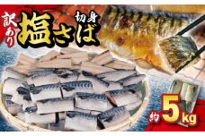 訳あり 塩サバ切身 約5kg ノルウェー産 冷凍 ｻﾊﾞ 鯖 塩サバ 塩鯖 鯖切身 鯖切り身 サバ切身 サバ切り身 切り身 切身 海鮮 魚 大容量 青魚 おかず 惣菜 魚介 おつまみ 弁当 人気 冷凍食品 グルメ 贈答 贈物 ギフト 長期保存 小分け お取り寄せ BBQ 送料無料 ふるさと納税 ふるさと納税サバ 千葉県 銚子市 大一奈村魚問屋