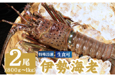 冷凍 伊勢海老 特大 2尾 （1尾800～1000g） イセエビ エビ 海老 甲殻類 急速冷凍 刺し身 刺身 魚 海鮮 おかず 酒 のあて おつまみ 弁当 塩 魚介 惣菜  食品 冷凍食品 グルメ 贈答 贈り物 プレゼント ギフト お取り寄せ ふるさと納税 送料無料 千葉県 銚子市 飯田水産株式会社