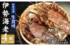 冷凍 伊勢海老 大 4尾 600~800g/1尾 イセエビ エビ 海老 甲殻類 急速冷凍 刺し身 刺身 魚 海鮮 おかず 酒 のあて おつまみ 弁当 塩 魚介 惣菜 規格外 食品 冷凍食品 グルメ 贈答 贈り物 プレゼント ギフト お取り寄せ ふるさと納税 送料無料 千葉県 銚子市 飯田水産株式会社