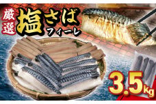 塩サバフィーレ 約3.5kg ノルウェー産 冷凍 ｻﾊﾞ 鯖 塩サバ 塩鯖 海鮮 魚 訳なし 正規品 大容量 青魚 おかず 惣菜 魚介 おつまみ 弁当 人気 冷凍食品 グルメ 贈答 贈物 ギフト 長期保存 小分け お取り寄せ BBQ ふるさと納税 ふるさと納税サバ 送料無料 千葉県 銚子市 大一奈村魚問屋