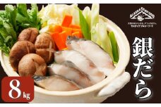銀だら 約8kg 真空パック入り 銀鱈 鱈 タラ 湯豆腐 寄せ鍋 鍋 団らん 真空パック 食べやすい 個別冷凍 惣菜 おかず 料理 照り焼き 煮付 小分け 冷凍 冷凍品 長期保存 保存食 鮮度 旨味 高級食材 お取り寄せ グルメ 食品 魚 魚貝 大容量 ギフト 贈物 贈り物 プレゼント 海鮮 ふるさと納税 千葉県 銚子市 エドノフーズ