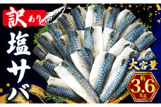 訳あり 塩さば フィレ 約3.6kg 鯖 さば 塩サバ 塩鯖 訳アリ 訳有 規格外 不揃い 切身 切り身 フィーレ 塩焼き 鯖サンド 鯖バーガー 大容量 小分け 人気 冷凍 冷凍食品 魚 魚介 魚貝 魚介類 おかず つまみ 酒 お酒 さけ 弁当 惣菜 食品 冷凍食品 グルメ 贈答 贈物 贈り物 長期保存 ギフト プレゼント ふるさと納税 ふるさと納税鯖 お取り寄せ 送料無料 千葉県 銚子市 辻野