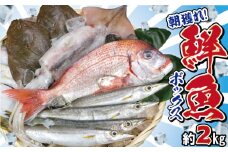 鮮魚ボックス おためしBOX ２kg  鮮魚セット 鮮魚詰め合わせ ヒラメ のどくろ ホウボウ メヒカリ イカ エビ カニ イワシ アジ カレイ 鯛 タイ 刺し身 刺身 フライ 天ぷら 塩焼き 煮付け エビ 中華 旬の魚 鮮魚  お取り寄せ グルメ 食品 魚 魚貝 ギフト 贈物 贈り物 プレゼント  詰め合わせ セット 夕飯 朝食 おかず 送料無料 ふるさと納税 千葉県 銚子市 有限会社丸忠水産
