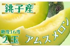 【6月下旬〜7月中旬発送】銚子産 アムスメロン 2玉 (1玉約1.7〜1.8kg未満) 弥兵衛のアムスメロン メロン 糖度16度 青肉 果物 フルーツ ギフト プレゼント 贈答 贈り物 お取り寄せ デザート スイーツ ケーキ ゼリー ジュース フルーツサンド  国産 ふるさと納税 送料無料 千葉県 銚子市 弥兵衛 			