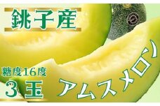 【6月下旬〜7月中旬発送】 銚子産 アムスメロン  3玉 (1玉約1.8〜2.0kg未満)  弥兵衛のアムスメロン メロン 糖度16度 青肉 果物 フルーツ ギフト プレゼント 贈答 贈り物 お取り寄せ デザート スイーツ ケーキ ゼリー ジュース フルーツサンド  国産 ふるさと納税 送料無料 千葉県 銚子市 弥兵衛 			