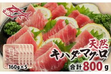 天然 キハダまぐろ切身 800g 160×5パック まぐろ 鮪 刺身 赤身 肉 鉢マグロ ネギトロ マグロ漬け 海鮮丼 丼 寿司 鉄火丼 手巻き寿司 魚 海鮮 魚介 おつまみ おかず まぐろ 冷凍 小分け 個包装 お取り寄せ 国産 送料無料 ふるさと納税 千葉県 銚子市 和田水産