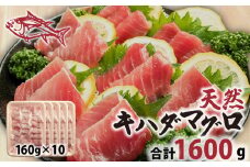 天然 キハダまぐろ切身 1600g 160×10パック まぐろ 鮪 刺身 赤身 肉 鉢マグロ ネギトロ マグロ漬け 海鮮丼 丼 寿司 鉄火丼 手巻き寿司 魚 海鮮 魚介 おつまみ おかず まぐろ 冷凍 小分け 個包装 お取り寄せ 国産 送料無料 ふるさと納税 千葉県 銚子市 和田水産