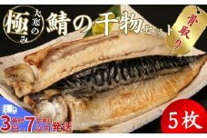 【骨取り】 大寒の極み サバ干物 5枚 1枚約200g 特大サイズ スピード発送 鯖 さば 塩サバ ノルウェー産 骨無し 骨抜き 骨なし 冷凍 一枚ずつ 梱包 パウチ 真空パック 個包装 魚 海鮮 魚介類 シーフード 干物 ひもの 高級 お取り寄せグルメ お試し 長期保存 贈答 贈物 贈り物 ギフト プレゼント 送料無料 ふるさと納税 千葉県 銚子市 武内商店