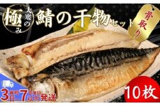 【骨取り】 大寒の極み サバ干物 10枚 1枚約200g 特大サイズ スピード発送 鯖 さば 塩サバ ノルウェー産 冷凍 一枚ずつ 梱包 パウチ 真空パック 個包装 魚 海鮮 魚介類 シーフード 干物 ひもの 高級 お取り寄せグルメ お試し 長期保存 贈答 贈物 贈り物 ギフト プレゼント 送料無料 ふるさと納税 千葉県 銚子市 武内商店