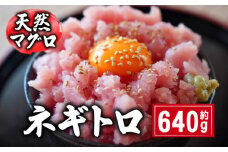 天然マグロ ネギトロ 約640g 国産 まぐろ 鮪 刺身 赤身 肉 ビンチョウマグロ ビンチョウ メバチマグロ 鉢マグロ メバチ キハダマグロ キハダ ネギトロ ツナ マグロ漬け 海鮮丼 丼 寿司 鉄火丼 魚 海鮮 魚介 魚貝 おつまみ おかず 惣菜 冷凍 小分け 個包装 お取り寄せ グルメ ギフト プレゼント 贈答 送料無料 ふるさと納税 千葉県 銚子市 和田水産