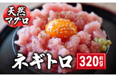 天然マグロ ネギトロ 約320g 国産 まぐろ 鮪 刺身 赤身 肉 ビンチョウマグロ ビンチョウ メバチマグロ 鉢マグロ メバチ キハダマグロ キハダ ネギトロ ツナ マグロ漬け 海鮮丼 丼 寿司 鉄火丼 魚 海鮮 魚介 魚貝 おつまみ おかず 惣菜 冷凍 小分け 個包装 お取り寄せ グルメ ギフト プレゼント 贈答 送料無料 ふるさと納税 千葉県 銚子市 和田水産