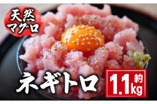 天然マグロ ネギトロ 約1.1kg 10,000円 国産 まぐろ 鮪 刺身 赤身 肉 ビンチョウマグロ ビンチョウ メバチマグロ 鉢マグロ メバチ キハダマグロ キハダ ネギトロ ツナ マグロ漬け マグロ 刺身 カルパッチョ まぐろ丼 まぐろ漬け丼 魚 惣菜 海鮮丼 魚介類 食べきりサイズ 冷凍 小分け 個包装 お取り寄せ グルメ ギフト プレゼント 贈答 送料無料 千葉県 銚子市 和田水産