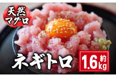 天然マグロ ネギトロ 約1.6kg 国産 まぐろ 鮪 刺身 赤身 肉 ビンチョウマグロ ビンチョウ メバチマグロ 鉢マグロ メバチ キハダマグロ キハダ ネギトロ ツナ マグロ漬け 海鮮丼 丼 寿司 鉄火丼 魚 海鮮 魚介 魚貝 おつまみ おかず 惣菜 冷凍 小分け 個包装 お取り寄せ グルメ ギフト プレゼント 贈答 送料無料 ふるさと納税 千葉県 銚子市 和田水産