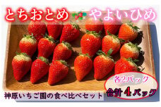 いちご 約1kg とちおとめ やよいひめ 2種類 食べ比べセット （250g × 4パック） 各2パック 苺 食べ比べ セット 食べくらべ こだわり 新鮮 朝摘み 朝採り 産直 産地直送 安心安全 果物 フルーツ くだもの ギフト プレゼント 贈物 贈答 ジャム ショートケーキ ババロア タルト スムージー ジュース アイス ジェラート ふるさと納税 ふるさと納税苺 千葉県 銚子市 神原いちご園