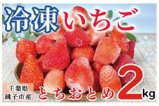冷凍いちご 約2kg とちおとめ イチゴ 苺 ふるさと納税 果物 フルーツ デザート ヨーグルト こだわり シャーベット スムージー ジャム ソース アイス 国産 産直 産地直送 安心安全 果物 フルーツ くだもの ギフト プレゼント 贈物 贈答 ジャム ショートケーキ ババロア タルト スムージー ジュース アイス ジェラート ケーキ ふるさと納税 ふるさと納税苺千葉県 銚子市 林いちご園 