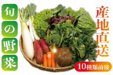 野菜詰め合わせセット 8～10種類 季節の野菜 やさい トマト キャベツ 大根 人参 にんじん サラダ 小松菜 かぶ ほうれん草 ブロッコリー ミニトマト 野菜 野菜セット 新鮮野菜 朝採れ 産地 産地直送 畑 農園 農家 旬な野菜 サツマイモ さつまいも 長ネギ ねぎ 玉ねぎ ブロッコリー 新鮮 国産 銚子産 健康 簡単 贈物 ギフト 贈答 送料無料 ふるさと納税 千葉県 銚子市 孝農園