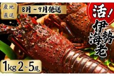 【8月上旬～9月下旬発送】 【漁師直送／生】 伊勢海老 （１kg／２〜５尾） 銚子港 水揚げ  魚介 海鮮 伊勢海老 伊勢エビ いせえび 海老 エビ 刺身 ボイル バーベキュー お祝い 高級 人気 新鮮 贈答 ギフト お取り寄せ グルメ 産地直送 濃厚 身 送料無料 ふるさと納税 千葉県銚子市 仲野水産 						
				