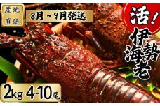 【8月上旬～9月下旬発送】【 漁師直送／生】 伊勢海老 （２kg／４〜１０尾） 銚子港 水揚げ  魚介 海鮮 伊勢海老 伊勢エビ いせえび 海老 エビ 刺身 ボイル バーベキュー お祝い 高級 人気 新鮮 贈答 ギフト お取り寄せ グルメ 産地直送 濃厚 身 送料無料 ふるさと納税 千葉県銚子市 仲野水産 						
				