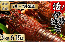 【8月上旬～9月下旬発送】【漁師直送／生】 伊勢海老 （３kg／６〜１５尾） 銚子港 水揚げ  魚介 海鮮 伊勢海老 伊勢エビ いせえび 海老 エビ 刺身 ボイル バーベキュー お祝い 高級 人気 新鮮 贈答 ギフト お取り寄せ グルメ 産地直送 濃厚 身 送料無料 ふるさと納税 千葉県銚子市 仲野水産 						
				