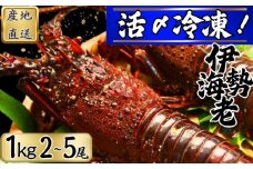  【漁師直送／活〆冷凍】 冷凍 伊勢海老 （１kg／２〜５尾）  銚子港 水揚げ  魚介 海鮮 急速冷凍 冷凍伊勢海老 冷凍 伊勢エビ いせえび 海老 エビ ハーフカット  バーベキュー 簡単調理 お祝い 高級 人気 新鮮 贈答 ギフト お取り寄せ グルメ 産地直送 濃厚 身 送料無料 ふるさと納税 千葉県銚子市 仲野水産 						
				