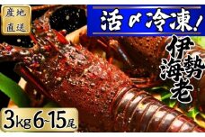  【漁師直送／活〆冷凍】 冷凍 伊勢海老 （３kg／６〜１５尾） 銚子港 水揚げ  魚介 海鮮 急速冷凍 冷凍伊勢海老 冷凍 伊勢エビ いせえび 海老 エビ ハーフカット  バーベキュー 簡単調理 お祝い 高級 人気 新鮮 贈答 ギフト お取り寄せ グルメ 産地直送 濃厚 身 送料無料 ふるさと納税 千葉県銚子市 仲野水産 						
				