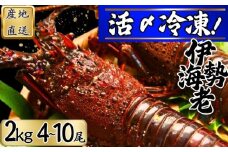  【漁師直送／活〆冷凍】 冷凍 伊勢海老 （２kg／４〜１０尾） 銚子港 水揚げ  魚介 海鮮 急速冷凍 冷凍伊勢海老 冷凍 伊勢エビ いせえび 海老 エビ ハーフカット  バーベキュー 簡単調理 お祝い 高級 人気 新鮮 贈答 ギフト お取り寄せ グルメ 産地直送 濃厚 身 送料無料 ふるさと納税 千葉県銚子市 仲野水産 						
				