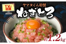 ねぎとろ 約1.2kg (300g×4パック)  ヤマタくん特製 マグロ ネギトロ ねぎとろ 鮪 たたき ミンチ アレンジ マグロ漬け 海鮮丼 鉄火巻 手巻き寿司 巻き寿司 寿司 すし 刺身 丼 ねぎとろ丼 海鮮 魚 テレビ で 話題 大盛り の ヤマタくん 冷凍 小分け 個包装 お取り寄せ 送料無料 グルメ 贈答 贈物 ギフト プレゼント 国産 千葉県 銚子市 ふるさと納税 ヤマタ仲内商店