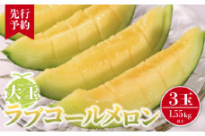 【先行予約】 大玉 ラブコールメロン 3玉  数量限定 メロン 大玉メロン 果物 旬の果物 フルーツ 旬のフルーツ 糖度 甘い 贈答 プレゼント 贈り物 ギフト ゼリー ジュース フルーツサンド クレープ ケーキ シャーベット アイス デザート スイーツ 追熟 食べ頃 高糖度 贈答 グルメ 発送時期 2025年7月～(なくなり次第終了) ふるさと納税 送料無料 千葉県 銚子市 はぎわらファーム