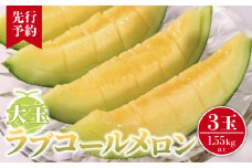 【先行予約】 大玉 ラブコールメロン 3玉  数量限定 メロン 大玉メロン 果物 旬の果物 フルーツ 旬のフルーツ 糖度 甘い 贈答 プレゼント 贈り物 ギフト ゼリー ジュース フルーツサンド クレープ ケーキ シャーベット アイス デザート スイーツ 追熟 食べ頃 高糖度 贈答 グルメ 発送時期 2026年7月～(なくなり次第終了) ふるさと納税 送料無料 千葉県 銚子市 はぎわらファーム
