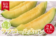 【先行予約】 大玉 ラブコールメロン 2玉  数量限定 メロン 大玉メロン 果物 旬の果物 フルーツ 旬のフルーツ 糖度 甘い 贈答 プレゼント 贈り物 ギフト ゼリー ジュース フルーツサンド クレープ ケーキ シャーベット アイス デザート スイーツ 追熟 食べ頃 高糖度 贈答 グルメ 発送時期 2025年7月～(なくなり次第終了)  ふるさと納税 送料無料 千葉県 銚子市 はぎわらファーム