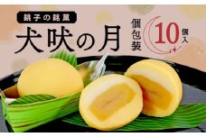 犬吠の月 10個 銘菓 献上 皇室献上 銚子銘菓 銚子名物 名物 御菓子 菓子 和菓子 大粒 栗 贈答 老舗 おすすめ 人気 こだわり プレゼント スイーツ ティータイム おやつ 茶菓子 お茶菓子 ねりきり 練りきり 練り切り あんこ あん 風情 手土産 お土産 おみやげ ギフト グルメ 甘味 贈り物 贈物 デザート 個包装 お取り寄せ ふるさと納税 送料無料 千葉県 銚子市 犬吠の月本舗 たか倉