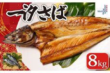 一汐さば 8kg さば 鯖 さぬき塩 塩 塩さば 塩鯖 鯖の開き 無添加 添加物不使用 ノルウェー 厳選 海の幸 大容量 おつまみ お弁当 惣菜 塩焼き おかず 調理用 料理 素材 冷凍 冷凍品 長期保存 保存食 鮮度 旨味 お取り寄せ グルメ 食品 魚 魚貝 魚介 ギフト 贈物 贈り物 プレゼント 海鮮 ふるさと納税鯖 ふるさと納税さば ふるさと納税 千葉県 銚子市 送料無料 エドノフーズ 