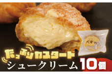 シュークリーム 10個 冷凍 スイーツ デザート 洋菓子 お菓子 菓子 小分け 個包装 おやつ お取り寄せ グルメ 人気 サクサク ふわトロ グルメ シュー 冷凍シュー 冷凍シュークリーム 冷凍保存 カスタード サクサク生地 カスタードクリーム  クリーム 犬岩シュー ケーキ 焼菓子 プレゼント ギフト 贈答 犬岩 義経 銚子名物 セレクション 送料無料 ふるさと納税 千葉県 銚子市 ル・ノワ
