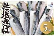 無塩さば 約5kg さば 鯖 無塩 無塩鯖 さばフィーレ 鯖フィーレ さばフィレ 鯖フィレ 食塩不使用 切り身 切身 無添加 添加物不使用 小分け 個別冷凍 お弁当 惣菜 おかず 塩焼き 味噌煮 調理用 料理 冷凍 冷凍品 長期保存 保存食 鮮度 旨味 厳選 こだわり お取り寄せ グルメ 食品 魚 大容量 ギフト 贈り物 海鮮 ふるさと納税 ふるさと納税さば 送料無料 千葉県 銚子市 エドノフーズ