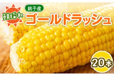 先行予約 とうもろこし 20本 約7kg 銚子産 トウモロコシ コーン 野菜 やさい 旬 旬の野菜 夏野菜 朝採り 朝採れ 国産 産地直送 冷蔵 大容量 人気 健康 ビタミン 美容 BBQ キャンプ お取り寄せ 贈答 コーンスープ ふるさと納税 ふるさと納税とうもろこし ふるさと納税野菜 なんばん とうきび toumorokosi 送料無料 千葉県 勘兵衛 【令和8年7月中旬~8月上旬発送予定】