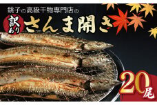訳あり 国産 さんま20尾 さんま開き さんま サンマ 秋刀魚 開き 銚子 水揚げ 海鮮 魚介 干物 塩焼き 焼き魚 煮付け 蒲焼き アレンジ レシピ 肉 厚 朝食 夕食 おかず お弁当 惣菜 米 のお供 酒 の つまみ 魚 魚貝 高級 冷凍 新鮮 人気 お取り寄せ グルメ 贈答 贈答用 ギフト 10尾ずつ 小分け おすすめ ふるさと納税 ふるさと納税さんま 送料無料 千葉県 銚子市 一政水産