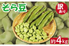 先行予約 訳あり そら豆 約4kg 朝採れ 銚子産 そらまめ 豆 マメ ヘルシー 食物繊維 ミネラル 健康 美容 甘い おかず お弁当 おつまみ ビール 晩酌 塩茹で 蒸し 炒め物 焼き 炊き込みご飯 大容量  新鮮 産地直送 産直 野菜 旬 贈答用 ギフト プレゼント 簡単 調理 家庭用 業務用 栄養 国産 送料無料 ふるさと納税 千葉県 銚子市 孝農園 【令和8年5月上旬～6月上旬発送予定】