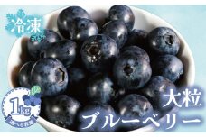冷凍ブルーベリー 【選べる容量】約1kg（1袋500g×2） ブルーベリー 冷凍 フルーツ 大粒 特大 美容 健康 ダイエット 冷凍食品 デザート 果物 くだもの スムージー 朝食 ジャム ヨーグルト チーズケーキ クレープ ロールケーキ タルト お菓子 トッピング 贈答 プレゼント 国産 お取り寄せ グルメ ふるさと納税 送料無料 銚子産 千葉県 銚子市 アグリモバード
